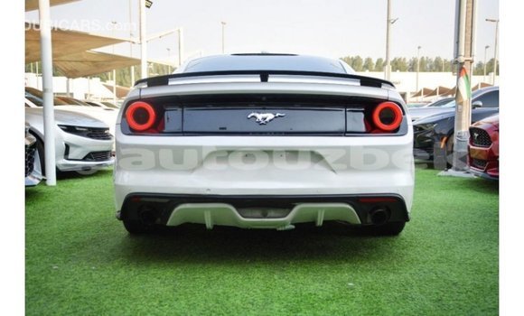 Buy Import Ford Mustang White Car in Import - Dubai in Andijon Buy Import Ford Mustang White Car in Import - Dubai in Andijon