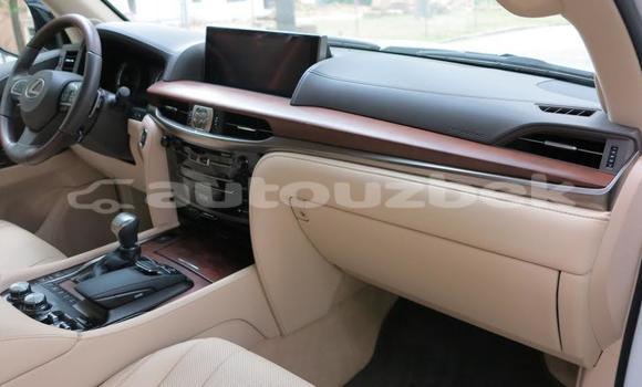 Buy Used Lexus LX 570 White Car in Ahunabayev in Andijon Buy Used Lexus LX 570 White Car in Ahunabayev in Andijon