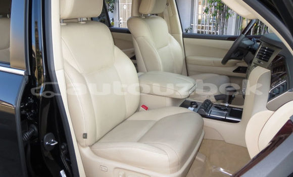 Buy Used Lexus LX 570 Black Car in Ahunabayev in Andijon Buy Used Lexus LX 570 Black Car in Ahunabayev in Andijon