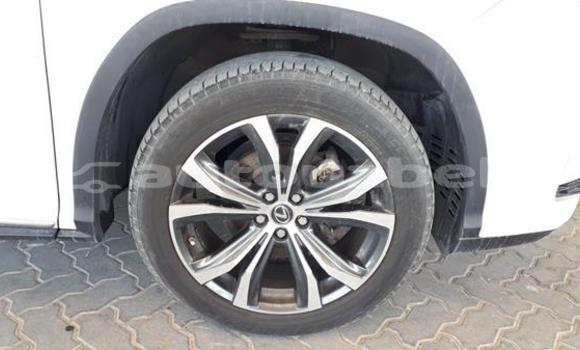 Buy Used Lexus RX 350 White Car in Asaka in Andijon Buy Used Lexus RX 350 White Car in Asaka in Andijon