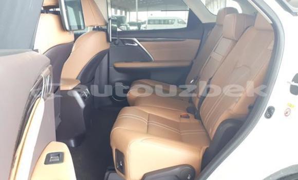 Buy Used Lexus RX 350 White Car in Asaka in Andijon Buy Used Lexus RX 350 White Car in Asaka in Andijon