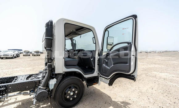 Buy New Isuzu NPR 85H White Truck in Import - Dubai in Andijon Buy New Isuzu NPR 85H White Truck in Import - Dubai in Andijon