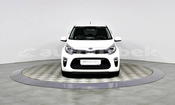 Buy Used Kia Picanto White Car in Tashkent in Toskent