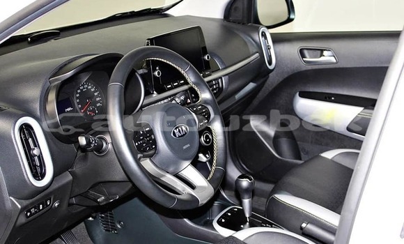 Buy Used Kia Picanto White Car in Tashkent in Toskent Buy Used Kia Picanto White Car in Tashkent in Toskent
