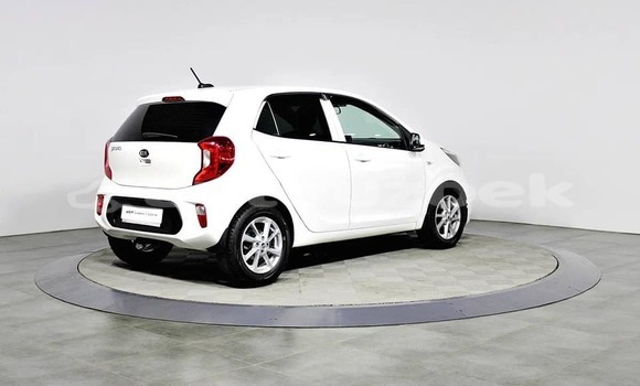 Buy Used Kia Picanto White Car in Tashkent in Toskent Buy Used Kia Picanto White Car in Tashkent in Toskent