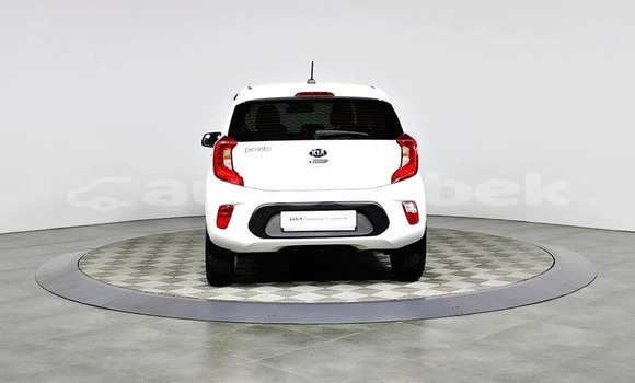 Buy Used Kia Picanto White Car in Tashkent in Toskent Buy Used Kia Picanto White Car in Tashkent in Toskent