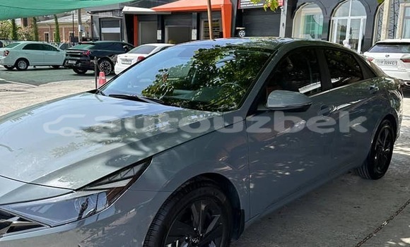 Buy Used Hyundai Elantra Other Car in Tashkent in Toskent Buy Used Hyundai Elantra Other Car in Tashkent in Toskent