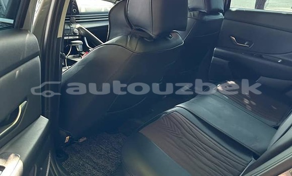 Buy Used Hyundai Elantra Other Car in Tashkent in Toskent Buy Used Hyundai Elantra Other Car in Tashkent in Toskent