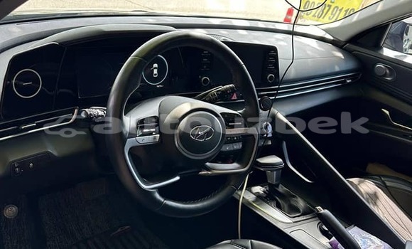 Buy Used Hyundai Elantra Other Car in Tashkent in Toskent Buy Used Hyundai Elantra Other Car in Tashkent in Toskent