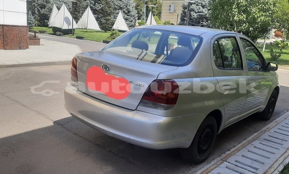 Buy Used Toyota Echo Silver Car in Tashkent in Toskent Buy Used Toyota Echo Silver Car in Tashkent in Toskent