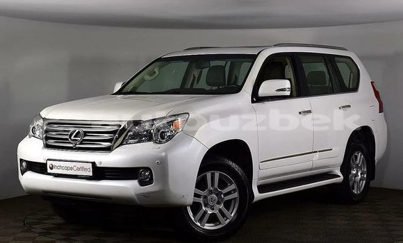 Buy Used Lexus GX White Car in Toskent in Toskent