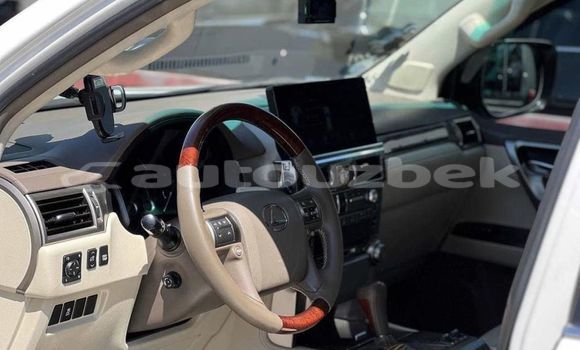 Buy Used Lexus GX White Car in Toskent in Toskent Buy Used Lexus GX White Car in Toskent in Toskent