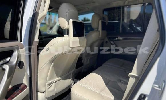Buy Used Lexus GX White Car in Toskent in Toskent Buy Used Lexus GX White Car in Toskent in Toskent
