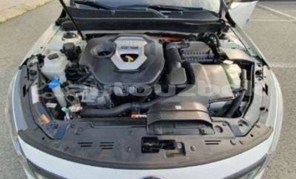 Buy Used Kia K5 White Car in Toskent in Toskent Buy Used Kia K5 White Car in Toskent in Toskent