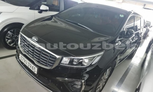 Buy Used Kia Carnival Black Car in Toskent in Toskent Buy Used Kia Carnival Black Car in Toskent in Toskent