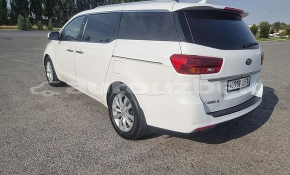 Buy Used Kia Carnival White Car in Asaka in Andijon