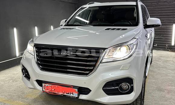 Buy Used Haval H9 White Car in Altyarik in Fargona Buy Used Haval H9 White Car in Altyarik in Fargona