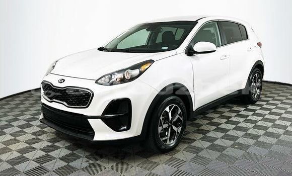 Buy Used Kia Sportage White Car in Cartak in Namangan Buy Used Kia Sportage White Car in Cartak in Namangan
