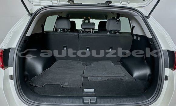 Buy Used Kia Sportage White Car in Cartak in Namangan Buy Used Kia Sportage White Car in Cartak in Namangan