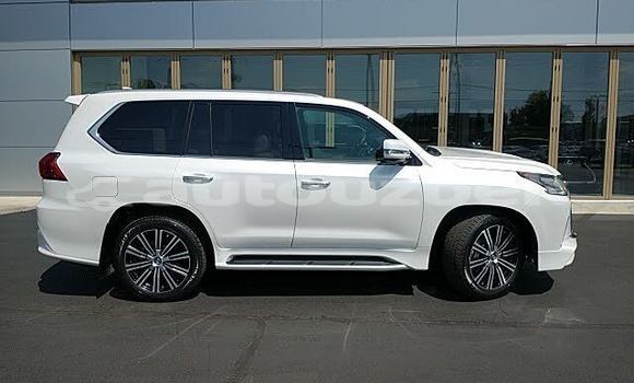 Buy Used Lexus LX 570 White Car in Ahunabayev in Andijon Buy Used Lexus LX 570 White Car in Ahunabayev in Andijon