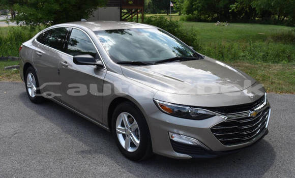 Buy Used Chevrolet Malibu Other Car in Tashkent in Toskent