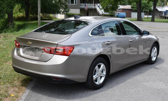 Buy Used Chevrolet Malibu Other Car in Tashkent in Toskent Buy Used Chevrolet Malibu Other Car in Tashkent in Toskent