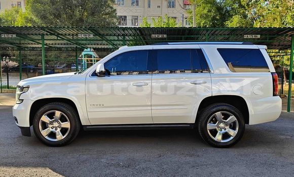 Buy Used Chevrolet Tahoe White Car in Almazar in Toskent Buy Used Chevrolet Tahoe White Car in Almazar in Toskent