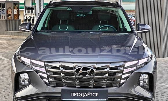 Buy Used Hyundai Tucson Other Car in Asaka in Andijon Buy Used Hyundai Tucson Other Car in Asaka in Andijon