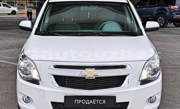 Buy Used Chevrolet Cobalt White Car in Asaka in Andijon Buy Used Chevrolet Cobalt White Car in Asaka in Andijon