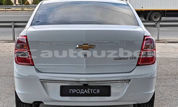 Buy Used Chevrolet Cobalt White Car in Asaka in Andijon Buy Used Chevrolet Cobalt White Car in Asaka in Andijon