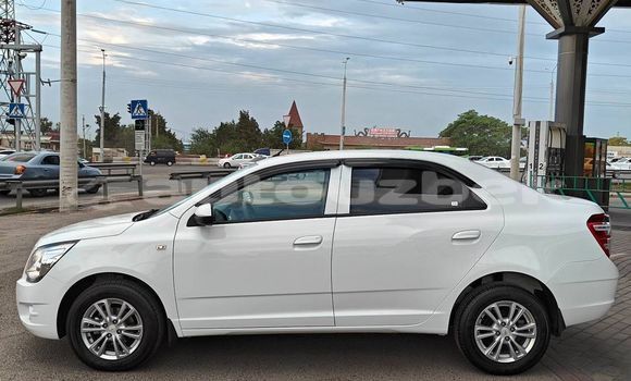 Buy Used Chevrolet Cobalt White Car in Asaka in Andijon Buy Used Chevrolet Cobalt White Car in Asaka in Andijon