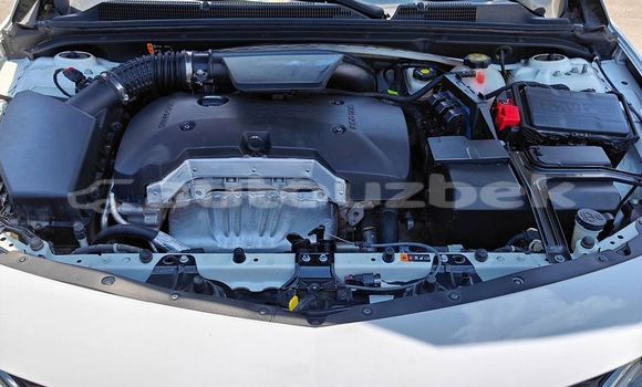 Buy Used Chevrolet Malibu White Car in Andijon in Andijon Buy Used Chevrolet Malibu White Car in Andijon in Andijon