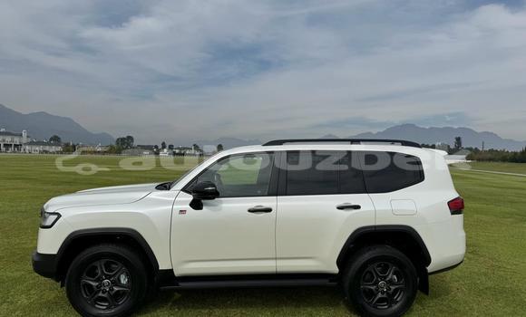 Buy Used Toyota Land Cruiser White Car in Tashkent in Toskent Buy Used Toyota Land Cruiser White Car in Tashkent in Toskent