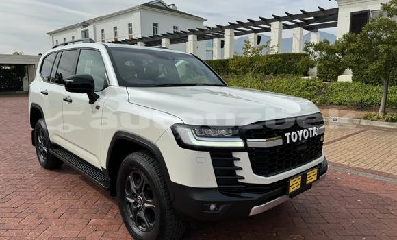 Buy Used Toyota Land Cruiser White Car in Tashkent in Toskent Buy Used Toyota Land Cruiser White Car in Tashkent in Toskent