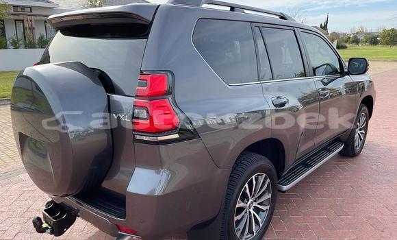 Buy Used Toyota Land Cruiser Prado Blue Car in Tashkent in Toskent Buy Used Toyota Land Cruiser Prado Blue Car in Tashkent in Toskent