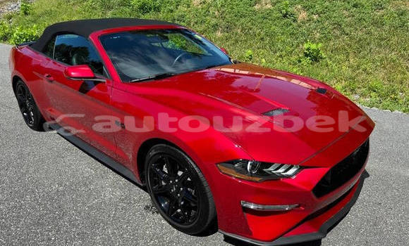 Buy Used Ford Mustang Red Car in Tashkent in Toskent Buy Used Ford Mustang Red Car in Tashkent in Toskent