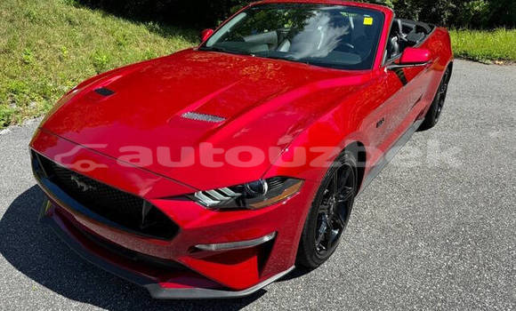 Buy Used Ford Mustang Red Car in Tashkent in Toskent Buy Used Ford Mustang Red Car in Tashkent in Toskent