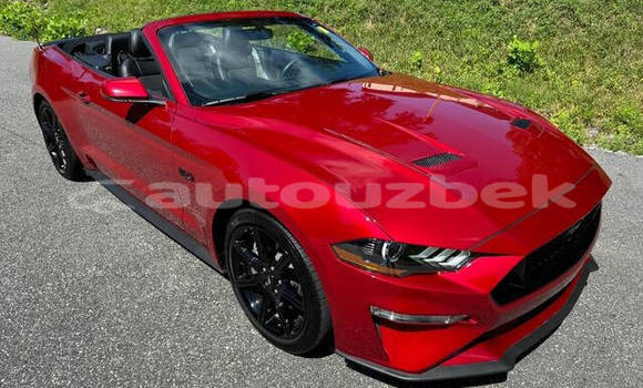 Buy Used Ford Mustang Red Car in Tashkent in Toskent Buy Used Ford Mustang Red Car in Tashkent in Toskent
