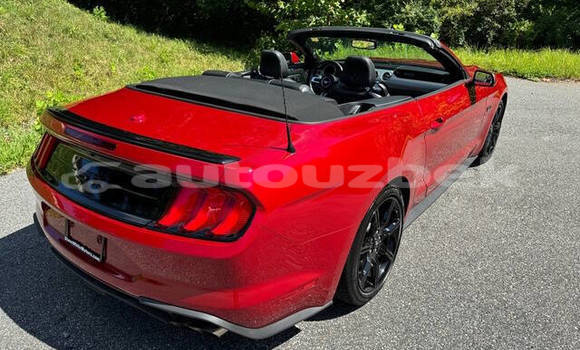Buy Used Ford Mustang Red Car in Tashkent in Toskent Buy Used Ford Mustang Red Car in Tashkent in Toskent