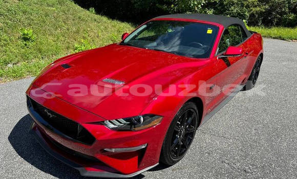 Buy Used Ford Mustang Red Car in Tashkent in Toskent Buy Used Ford Mustang Red Car in Tashkent in Toskent