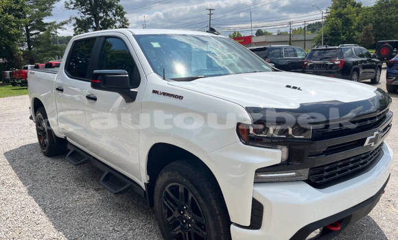 Buy Used Chevrolet Silverado White Car in Tashkent in Toskent Buy Used Chevrolet Silverado White Car in Tashkent in Toskent