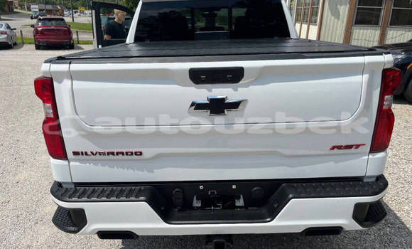 Buy Used Chevrolet Silverado White Car in Tashkent in Toskent Buy Used Chevrolet Silverado White Car in Tashkent in Toskent