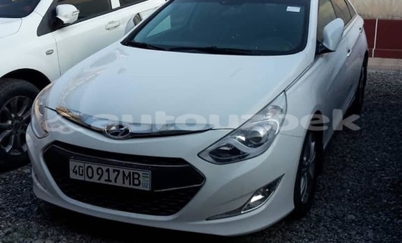 Buy Used Hyundai Sonata White Car in Almazar in Toskent