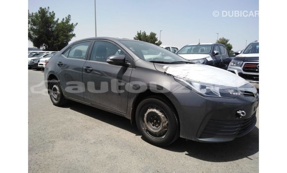 Buy Import Toyota Corolla Other Car in Import - Dubai in Andijon Buy Import Toyota Corolla Other Car in Import - Dubai in Andijon