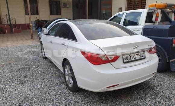 Buy Used Hyundai Sonata White Car in Almazar in Toskent Buy Used Hyundai Sonata White Car in Almazar in Toskent