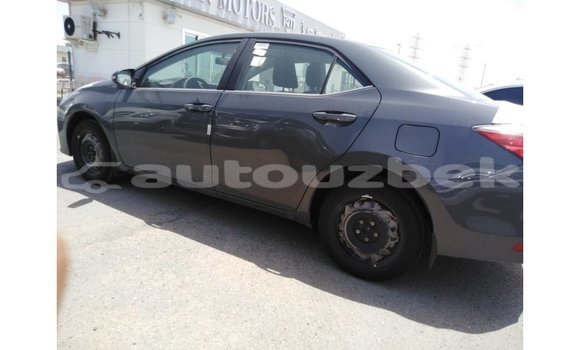 Buy Import Toyota Corolla Other Car in Import - Dubai in Andijon Buy Import Toyota Corolla Other Car in Import - Dubai in Andijon