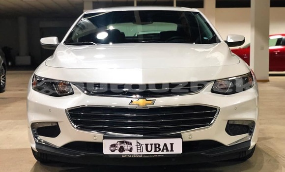 Buy Used Chevrolet Malibu White Car in Andijon in Andijon