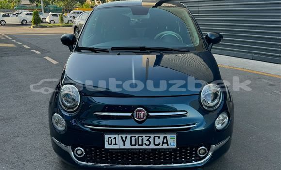 Buy Used Fiat 500 Black Car in Akkurgon in Surhondar Buy Used Fiat 500 Black Car in Akkurgon in Surhondar