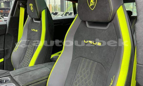 Buy Used Lamborghini Urus Other Car in Andijon in Andijon Buy Used Lamborghini Urus Other Car in Andijon in Andijon