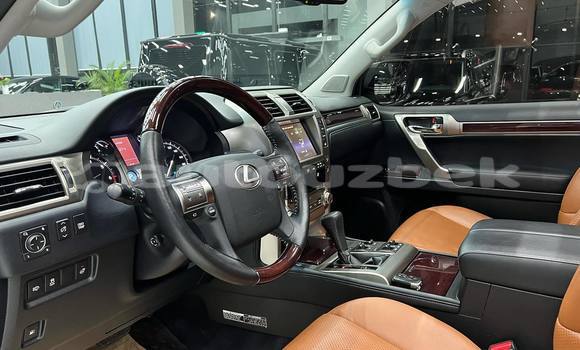 Buy Used Lexus GX Other Car in Andijon in Andijon Buy Used Lexus GX Other Car in Andijon in Andijon